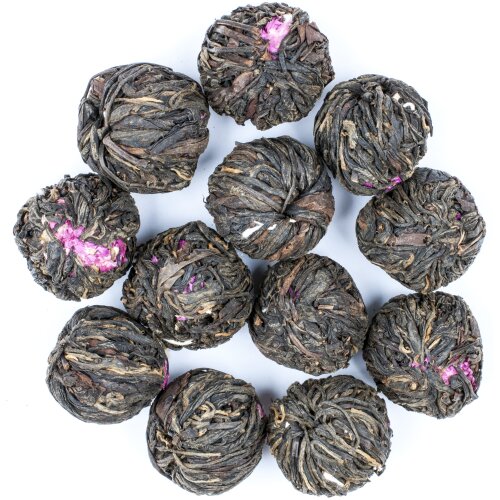 Rozkwitajaca Czarna z Gomfreną. / 3 szt.